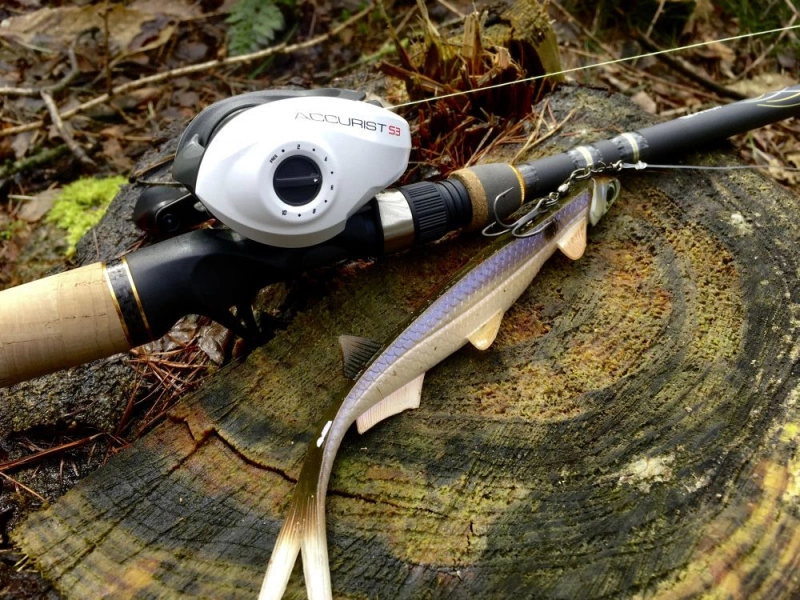 Quantum Accurist Baitcast AT101 HPT 6 Quantum Accurist Baitcast AT101 HPT - Image 6