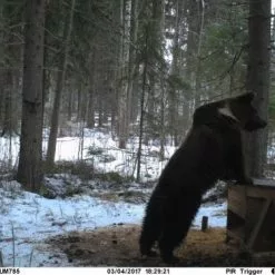 Uovision UM785-3G 20MP Full HD Etäohjattava 3G Riistakamera -Abu Garcia verkkokauppa Naa